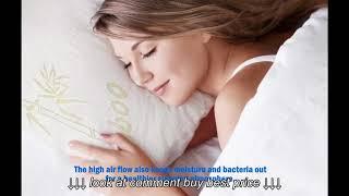 Shredded Memory Foam Pillow with Bamboo Cover reviews qpillow com