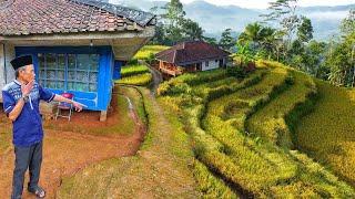 MANTAP !!! SUASANA DESA DENGAN PEMANDANGAN ALAM INDONESIA PALING INDAH