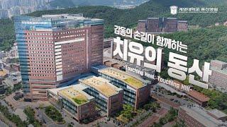 동산병원을 내려다 보다 | 계명대 동산병원