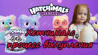 Интерактивная игрушка | Hatchimals | Хетчималс яйцо | процесс вылупления!