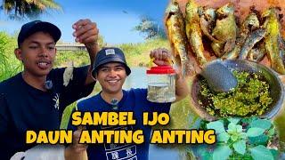 DAUN ANTING ANTING SAMBEL IJO DENGAN IKAN HASIL MANCING NIKMAT PUOOOOLLLL DULUR‼️