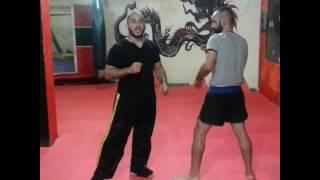 High speed front fist by master rabih hamzeh