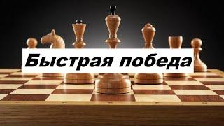 Шахматы. Ловушка! Самая быстрая победа в шахматах!