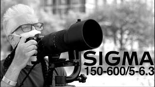 Sigma 150-600mm f/5-6.3 DG DN OS Sports Lens is a MONSTER