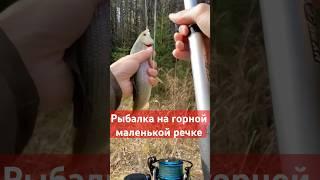 Трудовая рыбалка на хариуса #рыбалка #хариус #речка
