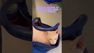 Самое ценное️ #животные #милота #ветеринарныйврач #питомцы #доктор