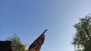 dove hunting with shotgun baikal mp 155