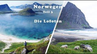 NORWEGEN Roadtrip | Lofoten | DARUM sind die Lofoten so beliebt! | Teil 3 | Vanlife