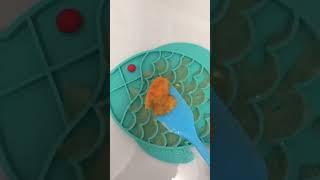 Dog Enrichment Lick Mat | #dogenrichment #lickmat #dogfood #shorts
