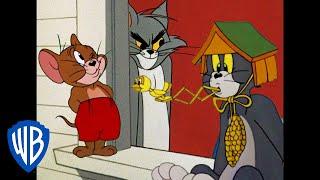 Tom & Jerry in italiano  | I Re dei Dispetti | WB Kids