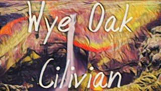 Cilivian (Wye Oak)