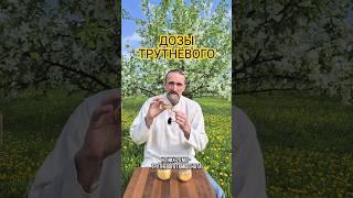 ДОЗЫ ТРУТНЁВОГО ГОМОГЕНАТА