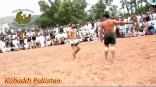 Shafiq Chisti kabbi match