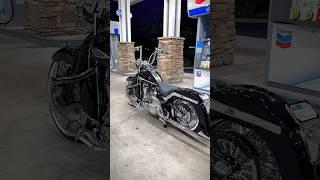 ️ 562-449-7199 SOFTAIL springer for sale $34,995 brand new build . EVERYTHING IS BRAND NEW