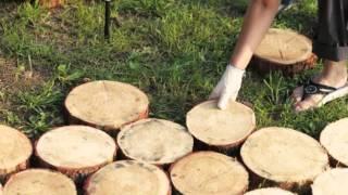 Любимый Хабаровск. Идеальная свадьба. Ночная сказка. Экопарк