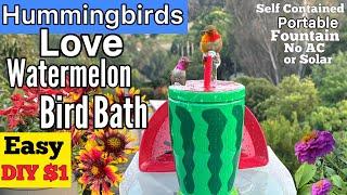 How To Make Hummingbird ENDLESS Water Fountain LOVED Cup Bird Bath *NO AC or Solar Powered PORTABLE