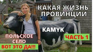 Вот это да! КАКАЯ Жизнь польского СЕЛА? ПОЧЕМУ Kamyk? Село с изюминкой. Дом помещика. Жизнь Польше.