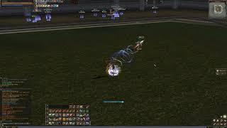 Lineage II Reborn x30 Duelist KoreanTvT