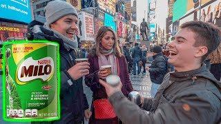 Americans try MILO for the first time, fall in love?!