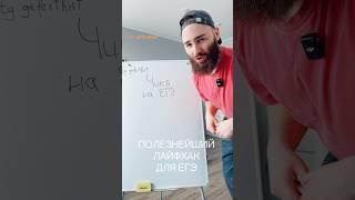 Эта ЧИКА поможет тебе на ЕГЭ!