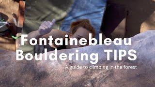 Bouldering in Fontainebleau | what you need to know