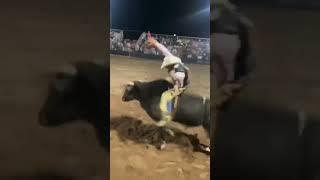 Jesse Flores w/ the round win & 2nd in the avg at the Dick Gravance Memorial Bull Riding.. #rodeo