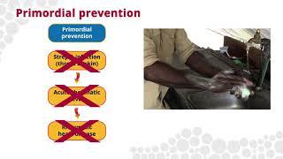 Primordial prevention of Acute Rheumatic Fever and Rheumatic Heart Disease