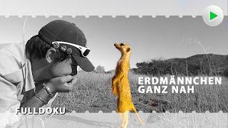 ERDMÄNNCHEN DOKU: FOLGE 1  Exklusiv HD Tierdoku in voller Länge  Dokumentarfilm deutsch 2024