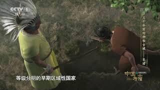 [中国考古大会]五千年前的神秘古城——良渚古城|CCTV