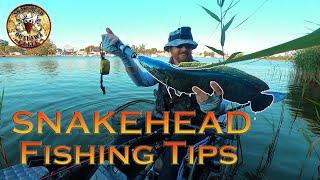 Snakehead Fishing Tips: Lures, Techniques, and More; "Westside" Maryland