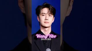 Wang Yibo evolution from 2014 to 2025