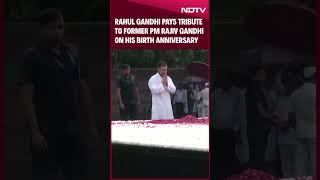 Rahul Gandhi Pays Tribute To Former PM Rajiv Gandhi On His Birth Anniversary