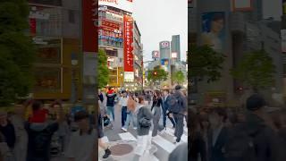 What It’s Like Standing in the Middle of Shibuya Crossing! #shortvideo #travel #japan #youtubeshorts