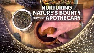 Nurturing Nature's Bounty for Your Apothecary - a blog by Heidi Jarvis, DNM