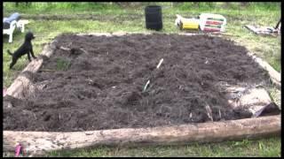 Building the Sheet Mulch Garden - Full length version