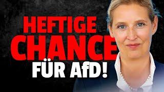 Riesen Chance für AfD in Brandenburg