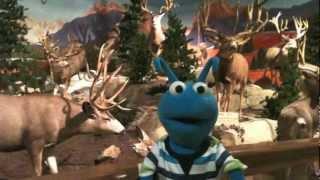 Bobby's Trip to New York! *INCLUDES EXTRAS!* - Evergreen Creative Ministries