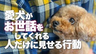 お世話をしてくれる飼い主に見せる仕草や行動