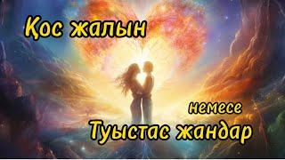 Қос жалын немесе туыстас жан ба? Шығу тегі мен айырмашылығы. Монада #крайон #жарық