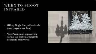 Webinar Replay: Discovering Infrared Photography