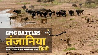 Epic Battles, तंजानिया [2023] हिन्दी डॉक्यूमेंट्री | Wildlife documentary in Hindi