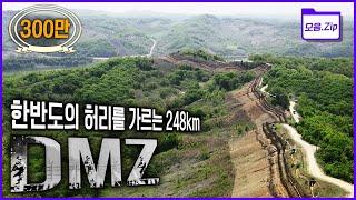 [명작다큐️몰아보기] 정전 후 60년, 248km 비무장지대를 재조명하다 | 2013 KBS '다큐멘터리 DMZ' 4부작