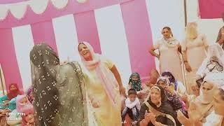 Dholi panghal baganwala