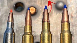 243 vs 6.5 vs 7mm-08 vs 308: Not Even Close?