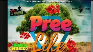 Guyanese Music Mix: Pree Life Riddim