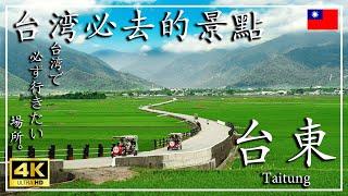 A must-visit in Taiwan! Discover the stunning scenery of Chishang, Taiwan's famous rice region116