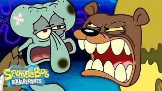 The Sea Bear Attacks Squidward, SpongeBob & Patrick!  SpongeBob SquarePants