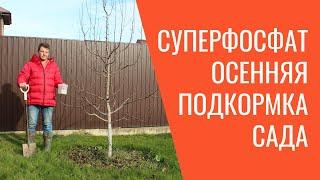 как правильно вносить удобрения под деревья! самый лёгкий способ