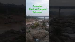 Damodar Bhairavi Sangame #beautiful