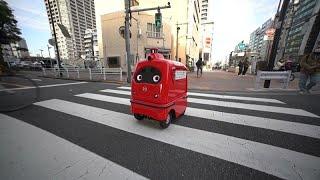 Japan will allow self-driving delivery robots to roam its streets to combat labour shortages